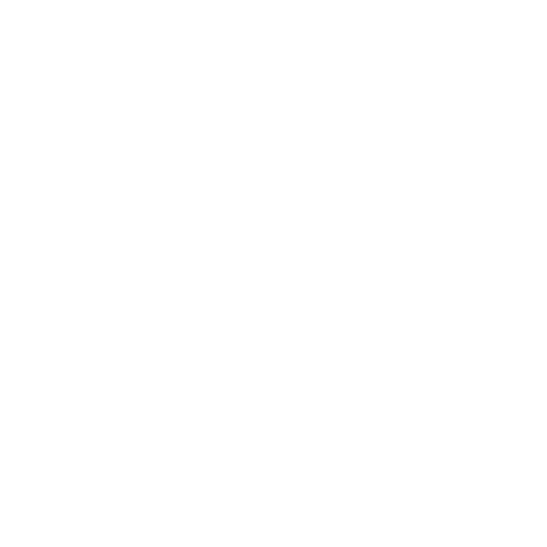 Shield AI