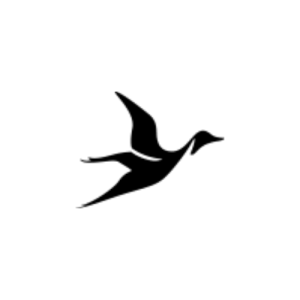 bitflow group